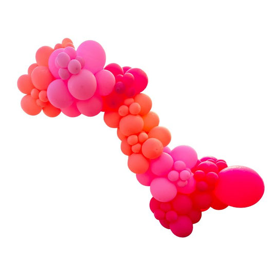 Hot Pink/Flamingo/Coral Balloon Garland - BG2