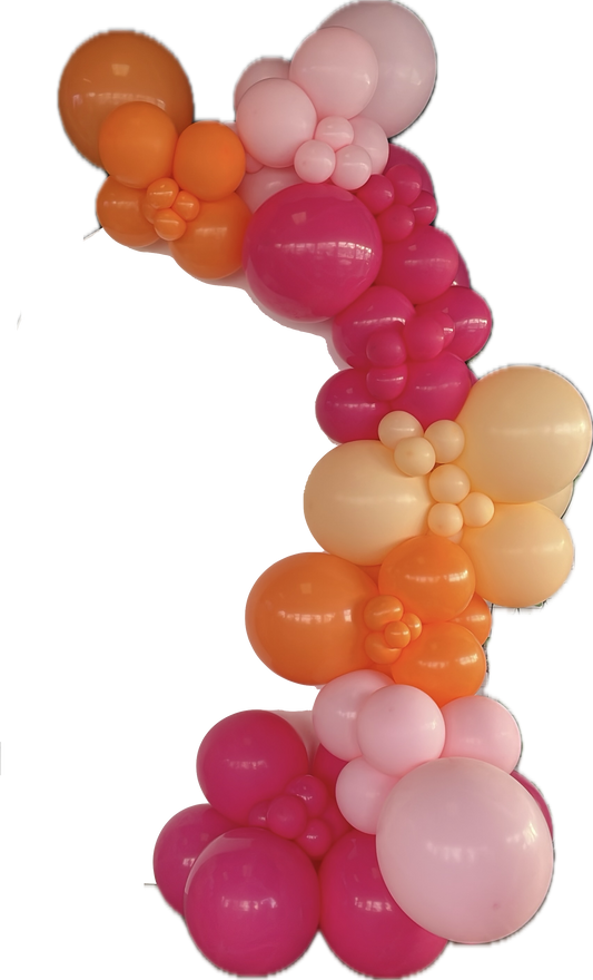 Hot pink/Peach/Pink/Orange Balloon Garland- BG2