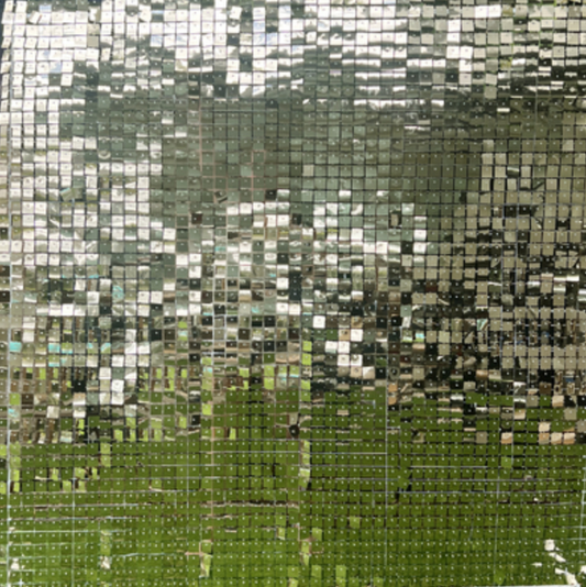 2.2M x 2M champange GOLD shimmer Wall Backdrop ONLY