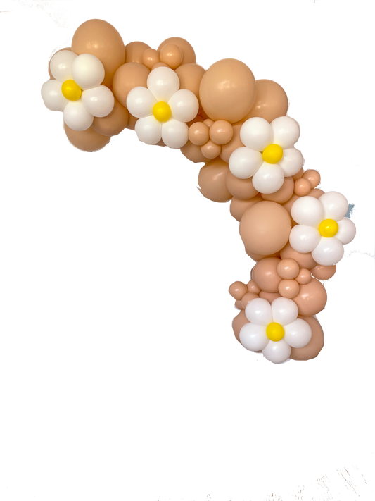 Ready To Hang - Daisy Blush - Standard Balloon Garland