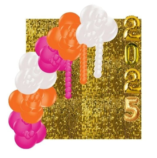 Graduation and presentation packages for 2025 with balloon designs and pricing on a white background.