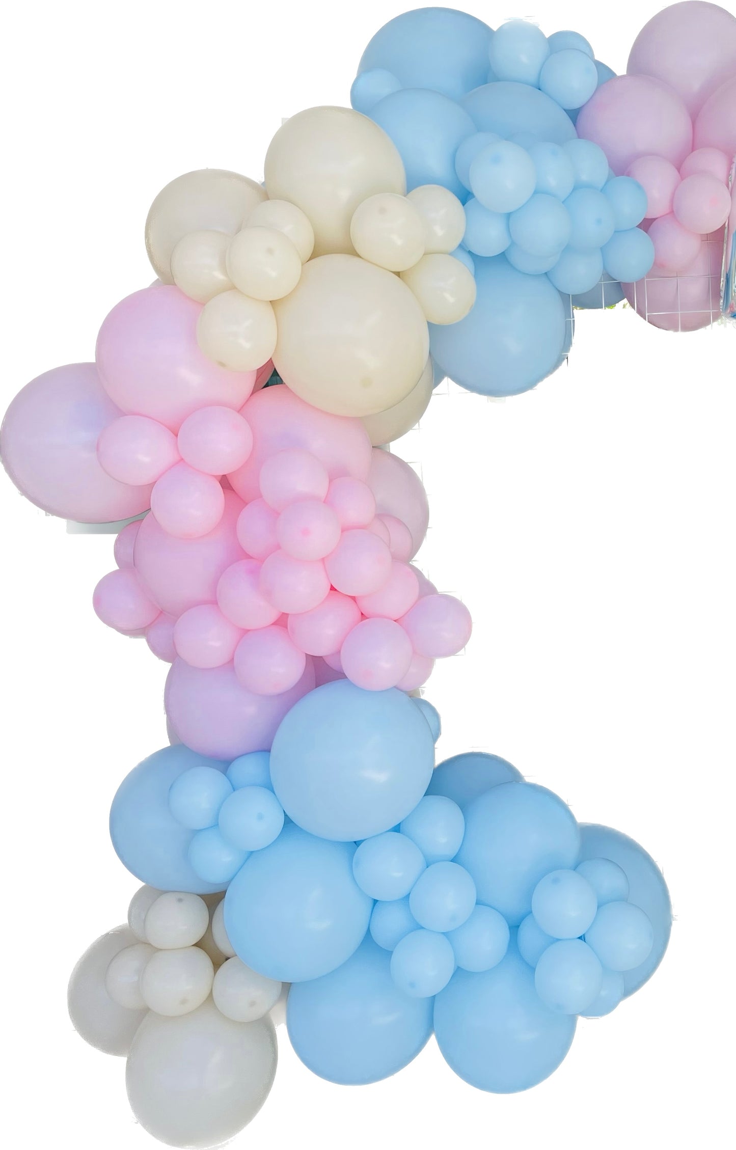 Ready To Hang - Gender Reveal- deluxe standard Garland baby