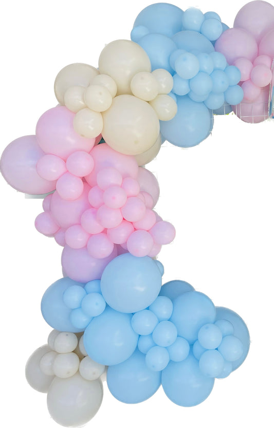 Ready To Hang - Gender Reveal- deluxe standard Garland baby