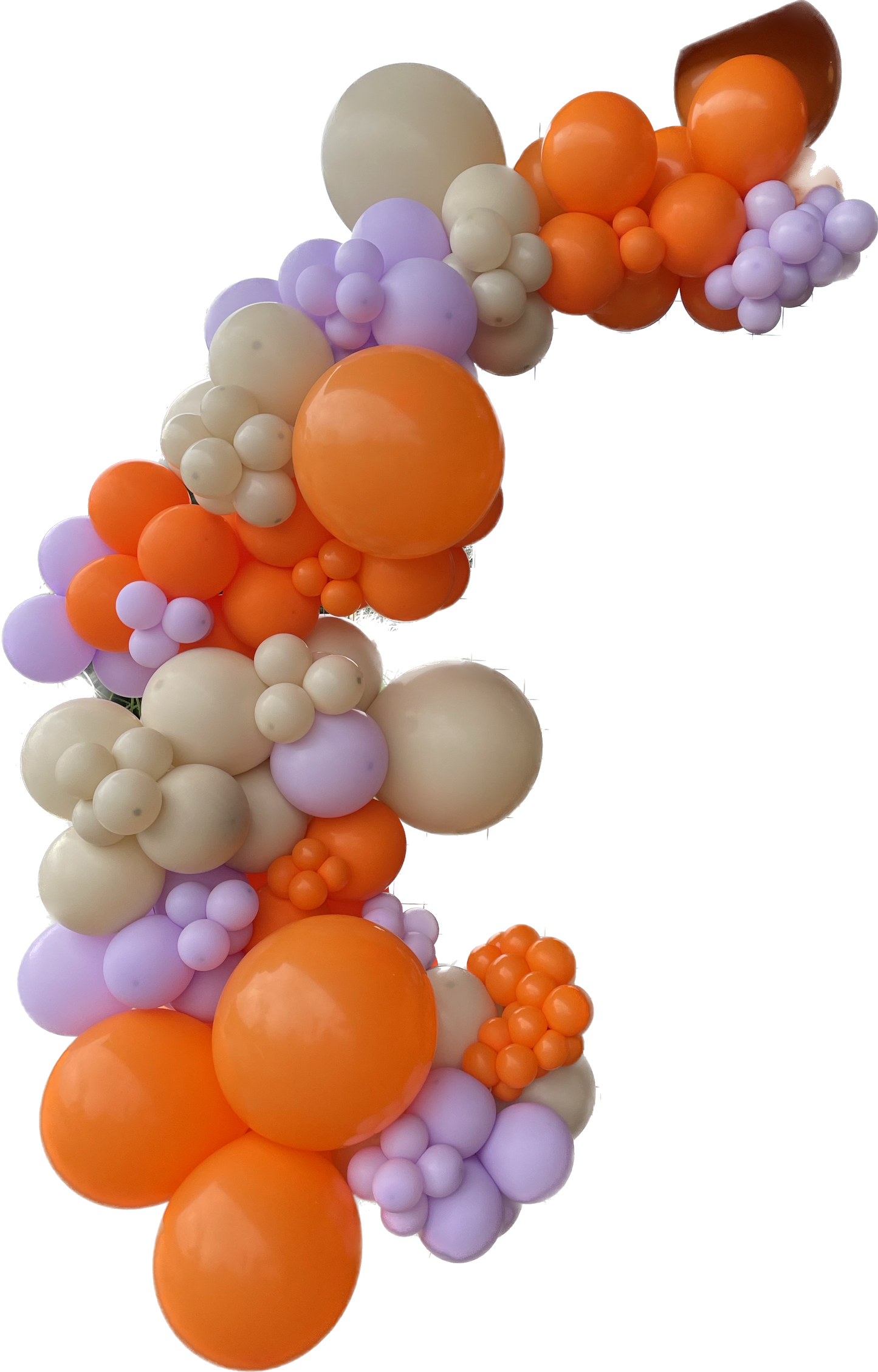 Ready To Hang -Orange/PURPLE/whitesand - Standard Balloon Garland