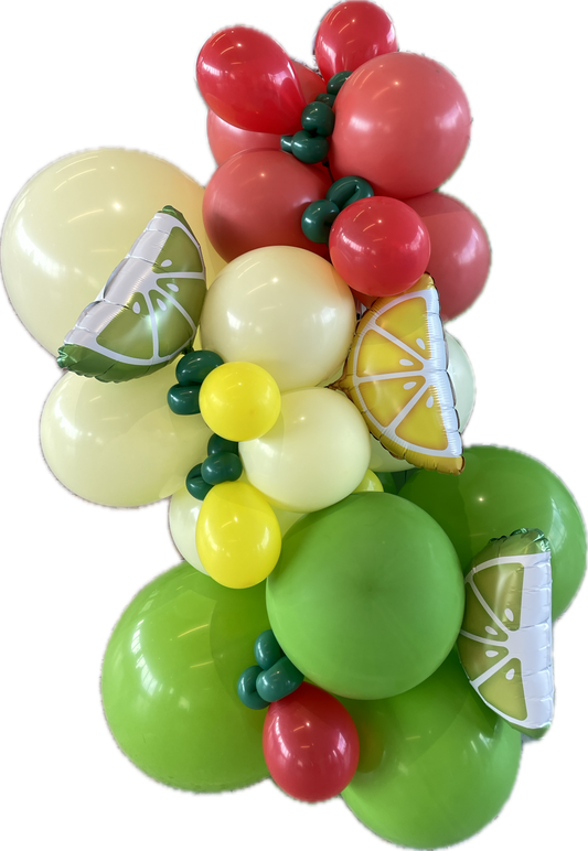 LUXE BALLOON GARLAND -FRUIT salad -BG1