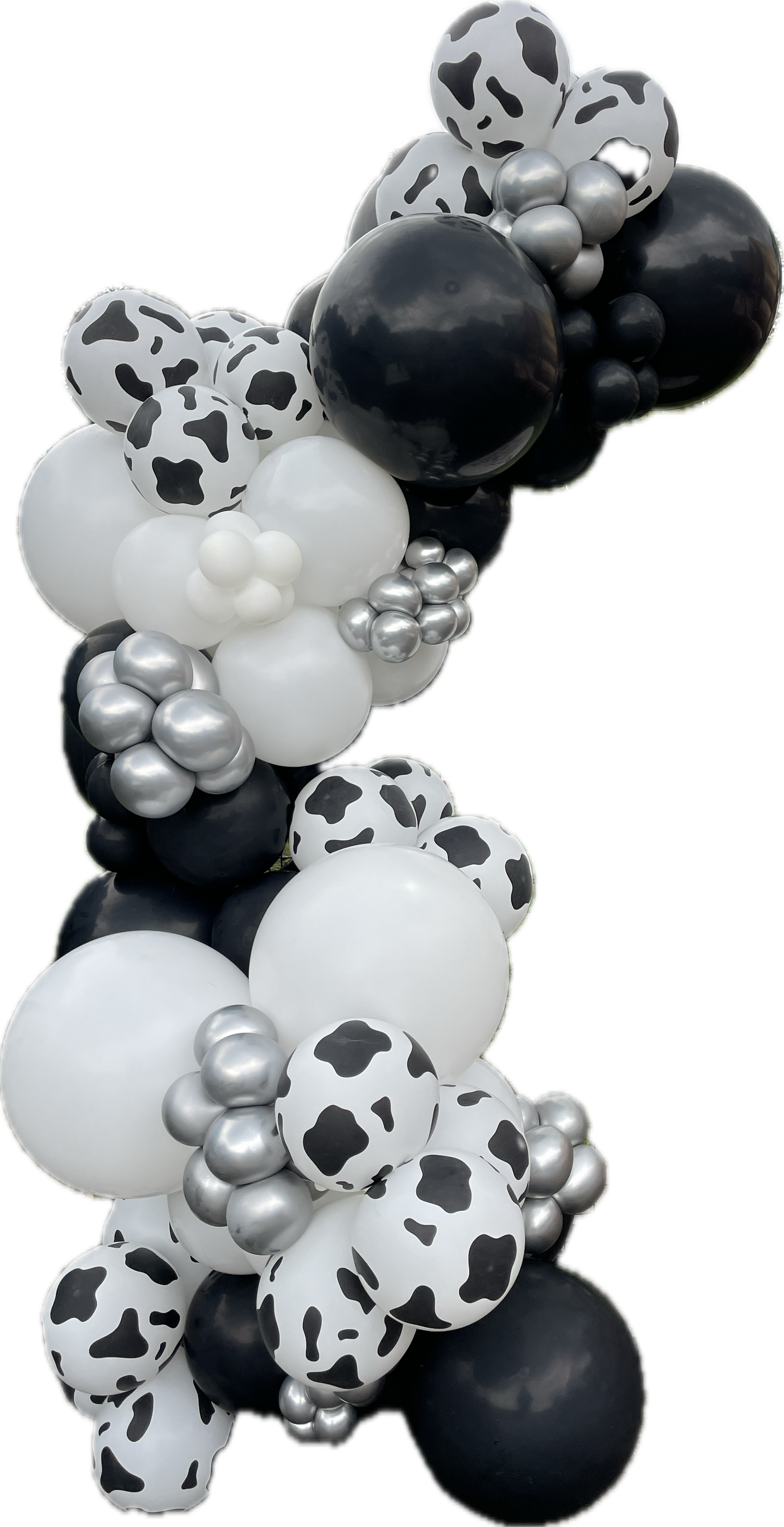 Ready To Hang - Disco Black and white cowgirl Deluxe Balloon Garland